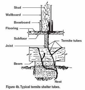 Drawing showing where termite shelter tubes would be located.