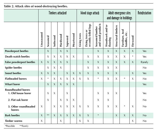 Table of Attack Sites of Wood-Destroying Beetles