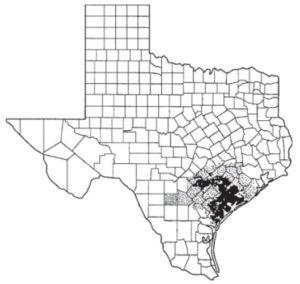 Figure 6. Areas in Texas where economically damaging infestations of southern corn rootworm could occur