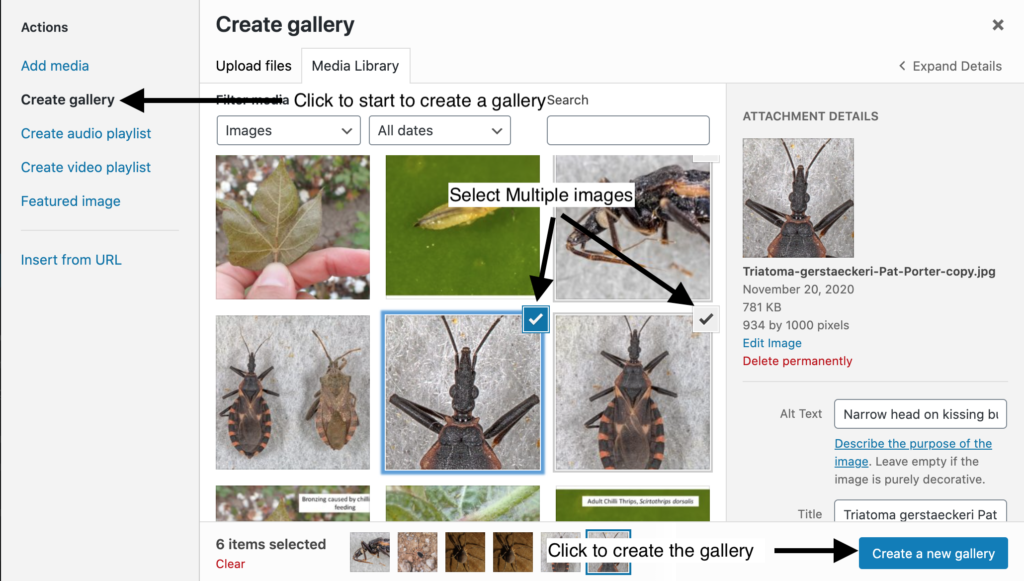 Creating an image gallery