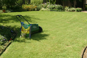 Granular insectide spreader on lawn