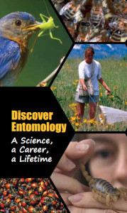 brochure cover for Discover Entomology