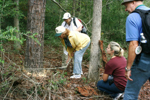 Conroe, Texas provides an excellent, insect-rich venue for Entomology Specialist training.