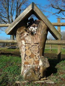 This creative bee hotel uses bamboo and holes of the proper sizes drilled in logs to attract solitary bees. And it's kind of fun to look at too.
