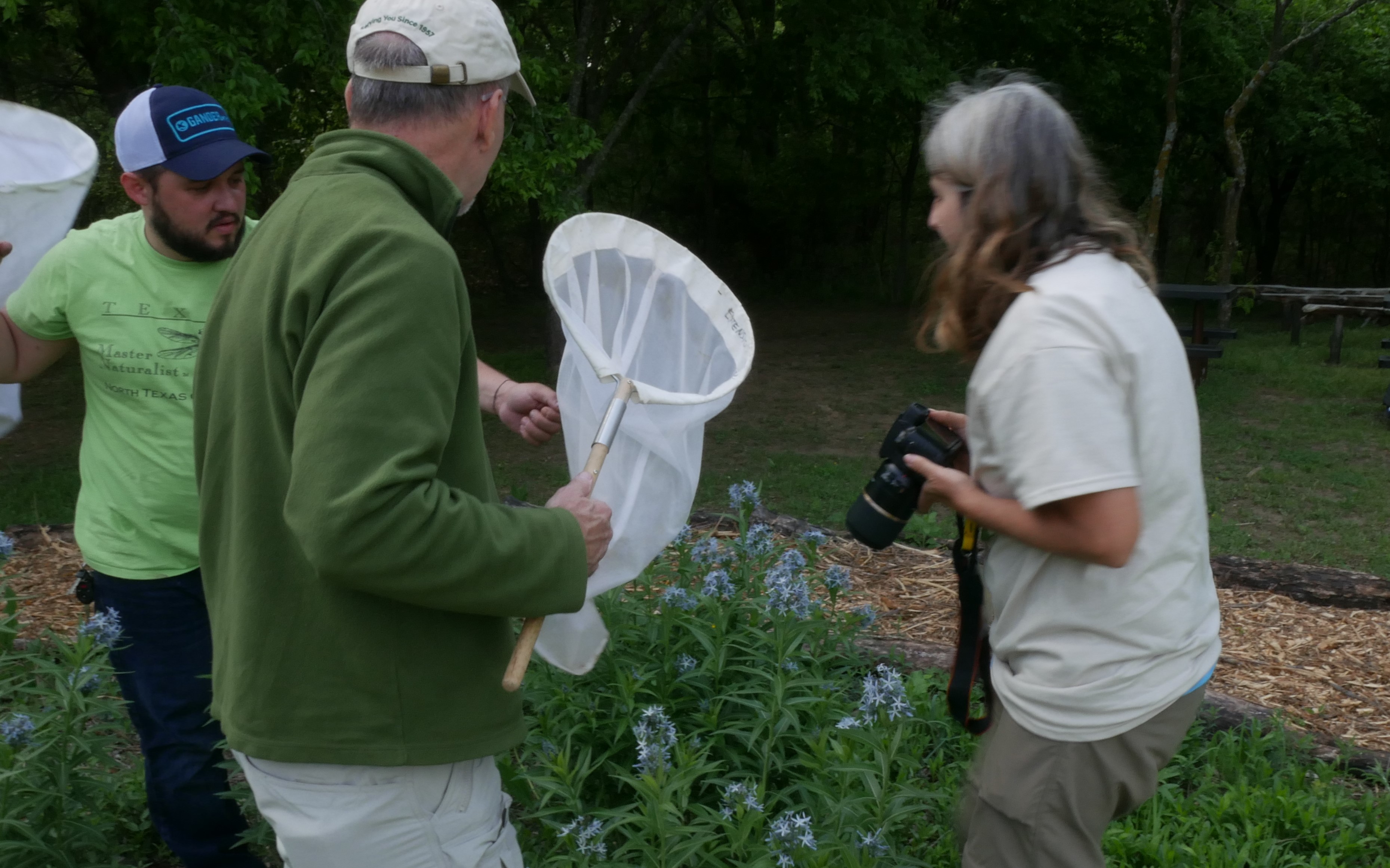 Collecting insects during the Bioblitz survey in Lewisville, TX.