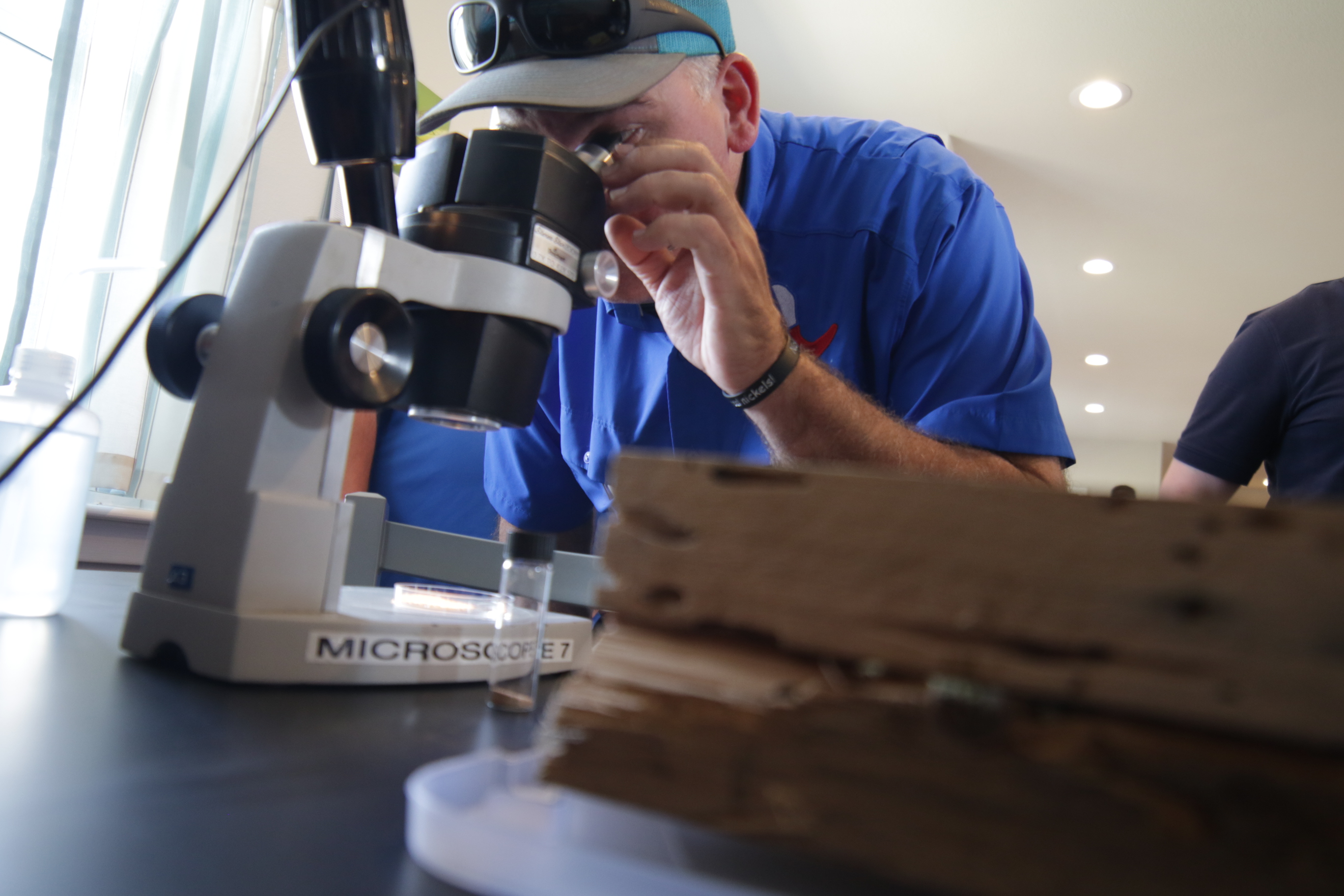 pest management professional with microscope