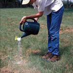 Individual mound treatment 