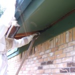 Image of person removing bees from the side of the building before removing the hive. 