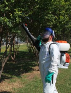 Man using a backpack sprayer