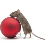 mouse-with-christmas-bauble