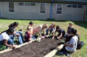 kids at a garden plot